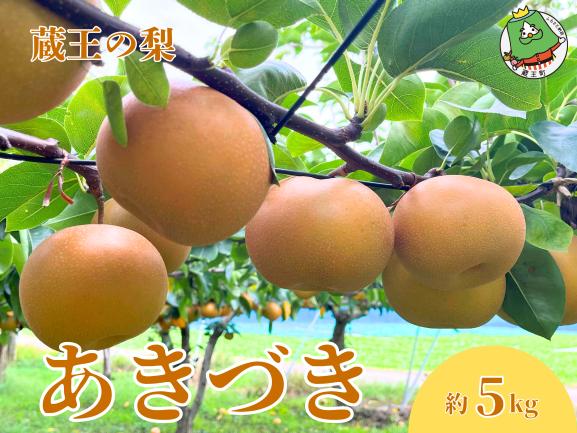 
                  【先行予約】宮城蔵王の梨「あきづき」約5kg　【04301-0819】梨 なし 果物 くだもの スイーツ フルーツ デザート 甘い ジューシー 蔵王
                
