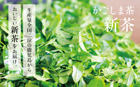【新茶】期間限定 日本茶AWARD受賞 高級深蒸し茶「さえみどり」3本セット＜2025年新茶：5月から出荷開始＞鹿児島県産 かごしま お茶 日本茶 緑茶 茶葉 南さつま市 小牧緑峰園