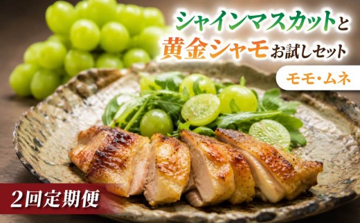 
                  【2回定期便】とうみの名産定期便（シャインマスカット2房／信州黄金シャモ ムネ・モモセット700g）｜【JA信州うえだ／とや原ファーム】ぶどう 葡萄 大粒 果物 フルーツ シャモ 鶏肉 頒布会 長野
                