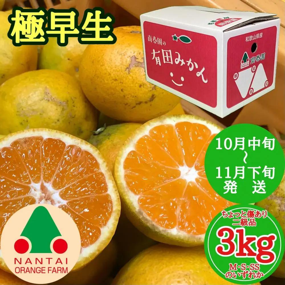 ちょっと 傷あり 極早生 有田 みかん M ～ SS サイズ 3kg 南泰園 和歌山 有田みかん