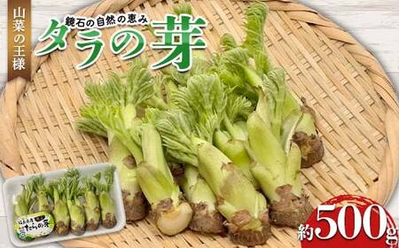 山菜の王様 鏡石の自然の恵み タラの芽 約500g（約50g×10） 山菜 野菜 食品 F6Q-470