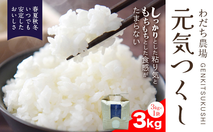 
                  【令和7年度産米】元気つくし 3kg 1袋3kg入り わだち農場《30日以内に出荷予定(土日祝除く)》福岡県 鞍手郡 鞍手町 米 コメ 元気つくし 袋 ちらし寿司 こめ
                
