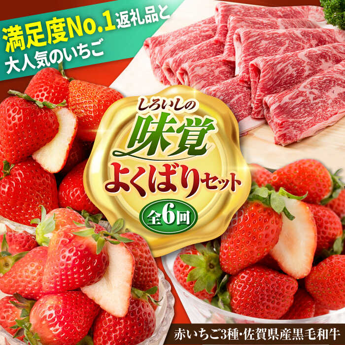 【ふるさと納税】【R8年2月以降発送】【全6回定期便】しろいしの味覚よくばりセット（赤いちご3種と佐賀県産黒毛和牛）/ いちご 苺 果物 フルーツ 黒毛和牛 切り落とし 牛 牛肉 すきやき すき焼き しゃぶしゃぶ 佐賀県 白石町 [IZZ021]