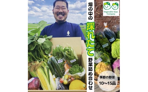 【Vegetable boys Company】畑の中の採れたて野菜詰め合わせセット