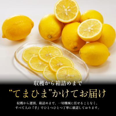ふるさと納税 八幡浜市 【先行予約 2027年発送】愛媛育ちのレモン 3kg 防腐剤・ワックス不使用【C70-20】 |  | 01
