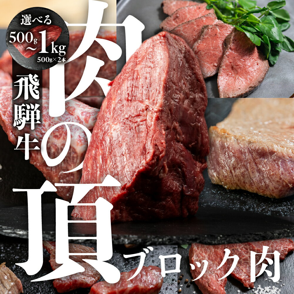 【ふるさと納税】飛騨牛 ブロック肉 選べる500g or 1kg 500g × 2本 和牛 黒毛和牛 A4 A5　ローストビーフ ステーキ 焼肉 BBQ　バーベキュー 訳あり 訳アリ おまかせ 肉 お肉 にく 切り落とし 牛肉 おすすめ ワケアリ 駿河屋 岐阜県 白川村 白川郷 三万円 30000円 [S975]