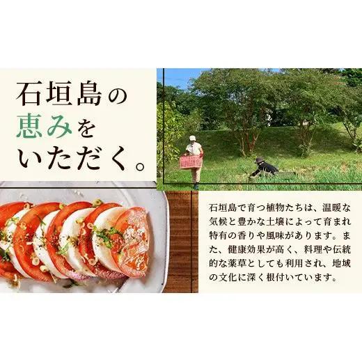 ハーブ楽塩　23g　瓶入×3本【 沖縄県 石垣市 石垣島 調味料 万能 石垣島産 塩 】PN-2
