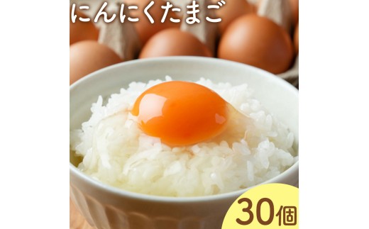 卵 にんにくたまご 内容量 30個 株式会社つづき《90日以内に出荷予定(土日祝除く)》熊本県 菊池市 卵 たまご にんにく卵 鶏卵 熊本県産 九州産 冷蔵 送料無料