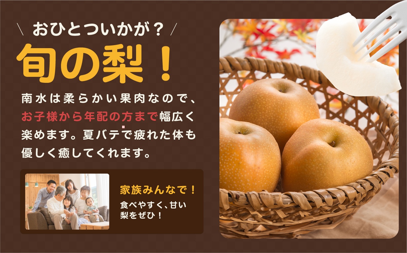 【9月上旬から発送予定】南信州生まれのジューシーで甘い梨「南水梨」 約5kg 12～14玉 糖度14.0以上 | 果物 くだもの フルーツ 南水梨 梨 なし ナシ 新鮮 長野県 信州 南信州 飯田市