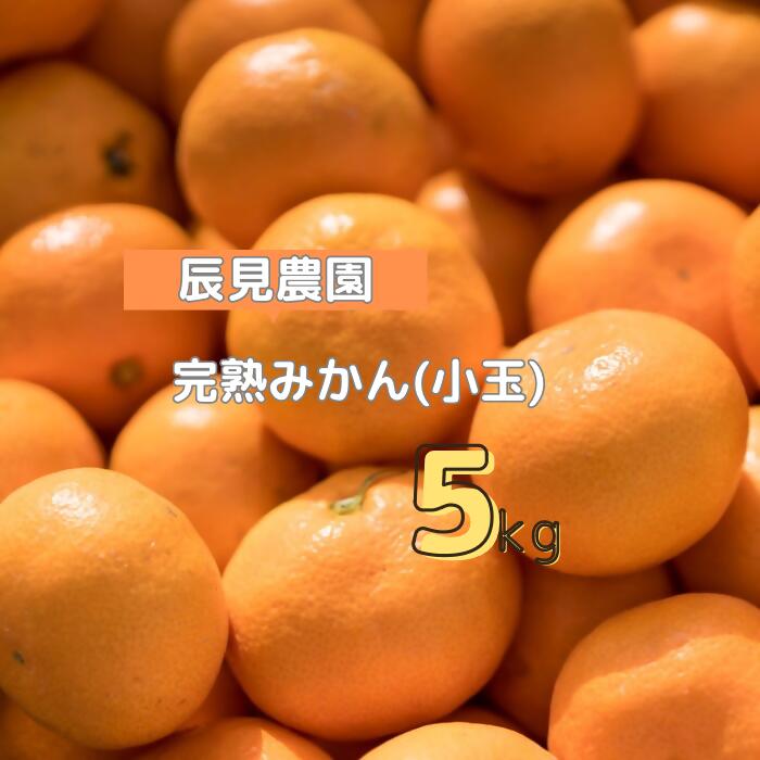 【ふるさと納税】【先行予約】L-91 辰見農園の完熟みかん（小玉）5kg