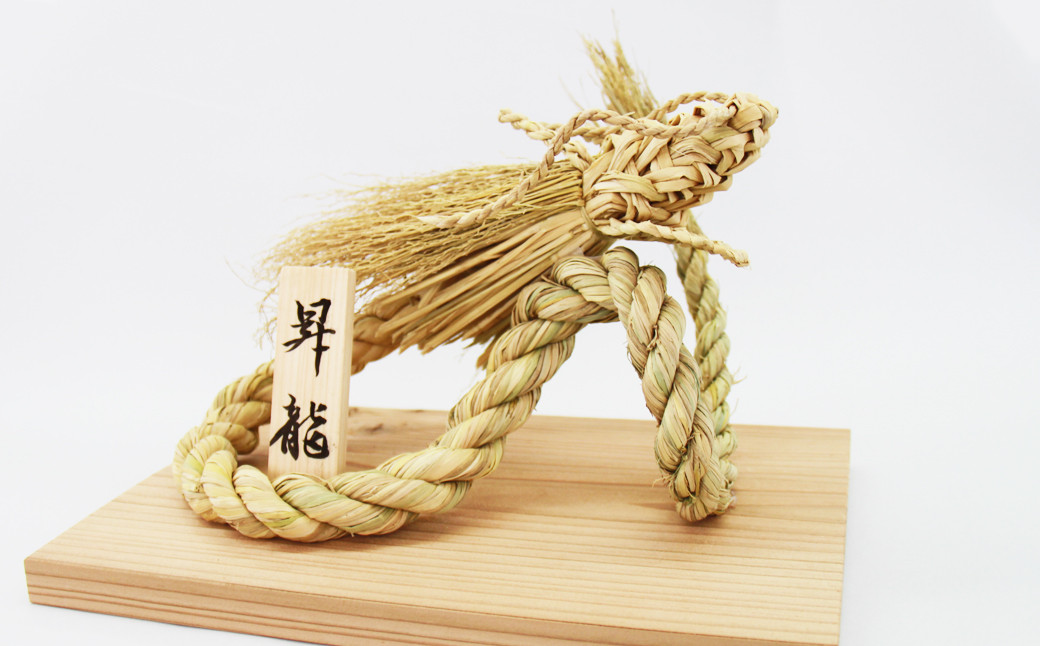 前方から見た昇龍