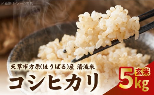 S150-005_天草市方原産　玄米（コシヒカリ）5キロ【先行受付】