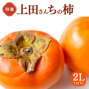 【 贈答用 富有柿 】 上田さんちの柿  | フルーツ くだもの 果物 柿 かき カキ  奈良県 五條市柿 奈良県 日本一の柿のまち 秋の味覚 自宅用 家庭用 特産品 