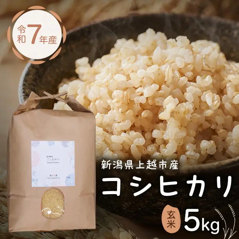 横山農園 コシヒカリ 玄米 コシヒカリ 5kg 令和7年産