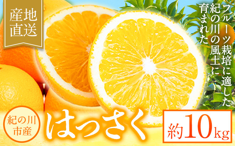 
            八朔 約10kg ｍ＆ｎ果実園《2025年1月下旬-3月中旬頃出荷》和歌山県 紀の川市 果物 フルーツ はっさく 柑橘類 送料無料
          