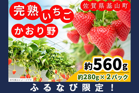 【ふるなび限定】【新農場オープン記念】【先行受付 2026年1月より発送】かおり野(約280g×2P) K100013 FN-Limited-PR