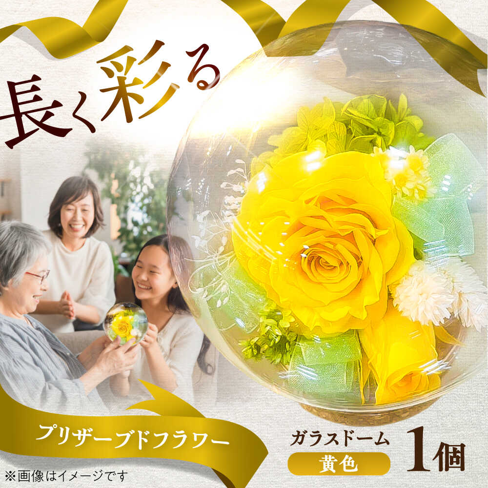 【ふるさと納税】プリザーブドフラワー　ガラスドーム (黄色) / プリザーブド フラワー ガラス ドーム 花 プレゼント 誕生日 記念日 結婚祝い 母の日 父の日 敬老の日 開店祝い 新築祝い 入学式 卒業式 枯れない 長持ち 菊陽 熊本【株式会社 美向】[BHDC003]