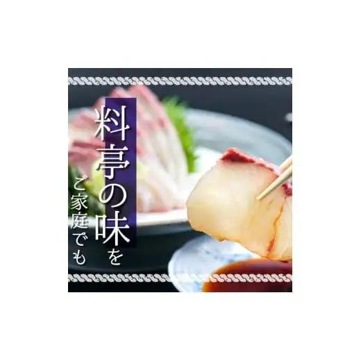 【 カンパチ 】 カンパチ1節