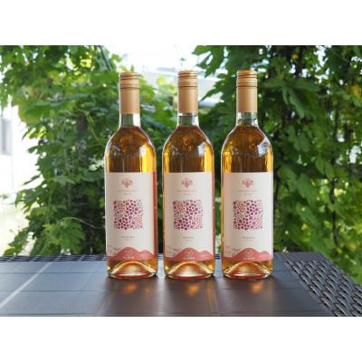 ふるさと納税 南陽市 果樹園生まれの 「漆山ワイン (デラウェア)」 750ml×3本セット【S1168】