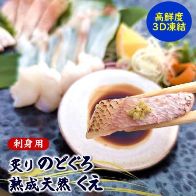 ふるさと納税 新温泉町 高級魚「天然クエ熟成」「炙りノドグロ」お刺身用 旨味凝縮 高鮮度3D凍結 個包装