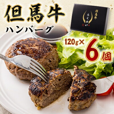 【ふるさと納税】但馬牛ハンバーグ【配送不可地域：離島】【1448811】