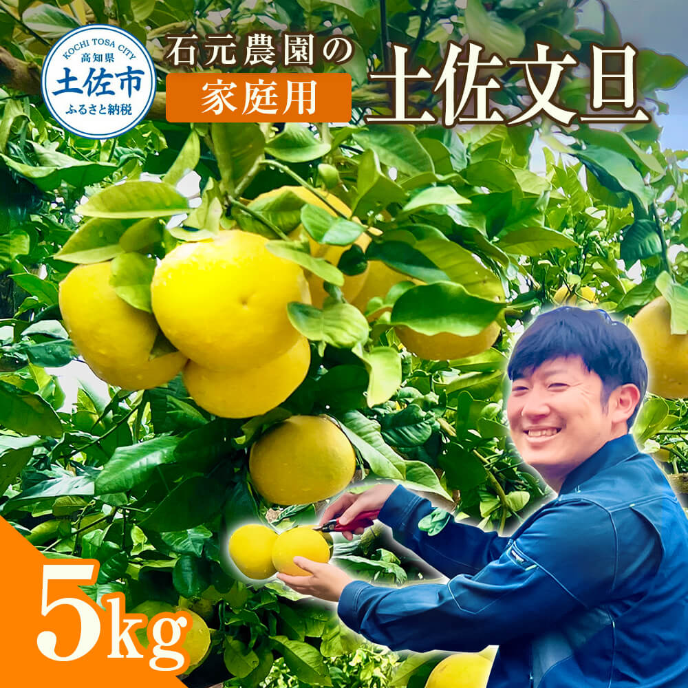 【ふるさと納税】石元農園の土佐文旦 約5キロ（7〜12玉） 期間限定 先行予約 土佐文旦 文旦 5kg ブンタン ぶんたん 果物 柑橘 フルーツ 高知県産 土佐市産 傷 汚れ 美味しい おいしい 返礼品 高知 高知県 土佐市 こうち 返礼品