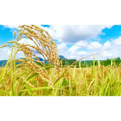 ふるさと納税 小山市 令和7年産 とちぎの星 玄米 30kg |  | 02