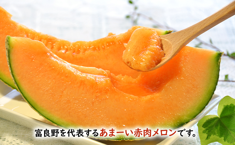 【2026年夏発送】 メロン スイカ 富良野の旨さ 赤肉メロン 
