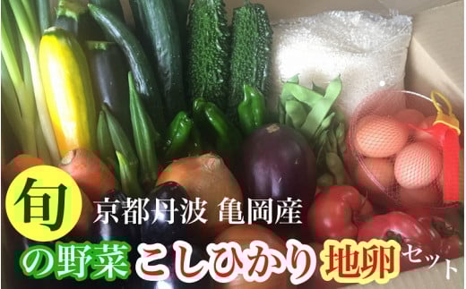 京都丹波・亀岡発 旬の野菜・こしひかり・地卵 詰め合わせセット〇 ※北海道・沖縄・離島への配送不可