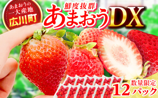 【★先行予約★　2027年2月より発送】あまおうDX等級 6ケース（250g×12パック） いちご 苺 フルーツ 果物 くだもの 旬 福岡県産 小分け いちご イチゴ strawberry ichigo itigo いちご 苺 果物 選べる fruit あまおう 広川町 / JAふくおか八女農産物直売所どろや [AFAB006]