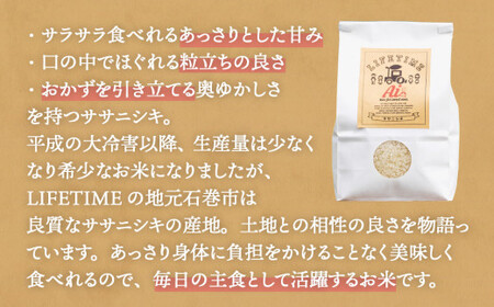 米 ササニシキ サラサラすすむ"安心"のお米 玄米 20kg 化学肥料不使用 お米 コメ こめ ささにしき ご飯 ごはん 主食 ライス 産地直送 国産 宮城県 石巻市
