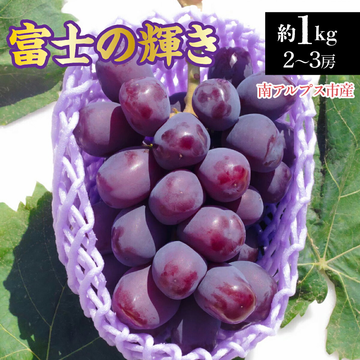 【ふるさと納税】 【2026年発送先行予約】南アルプス市産　富士の輝き1.0kg(2～3房) ふるさと納税 葡萄 ぶどう 果物 フルーツ おすすめ 山梨県 南アルプス市 送料無料 ALPDD022