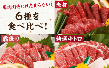 【6回定期便】馬刺し 特盛！バラエティセット 6種類 5・6人前 ＋タレ大【馬刺しの郷 民守】  馬肉 熊本県 特産品 馬刺し [ZBL077]