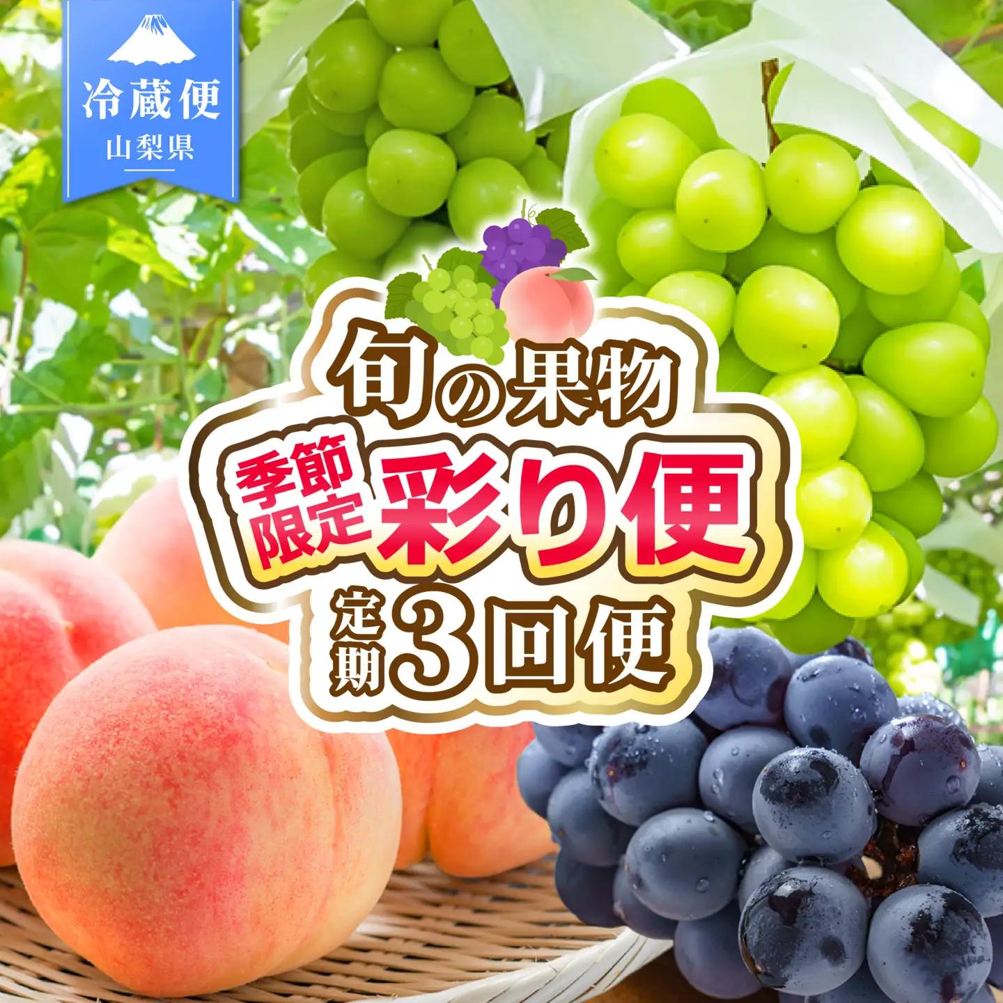 【2027年発送★先行予約】3回定期便 旬のフルーツ定期便（桃1㎏・種無し黒葡萄1房・シャインマスカット1房）180-023-27y