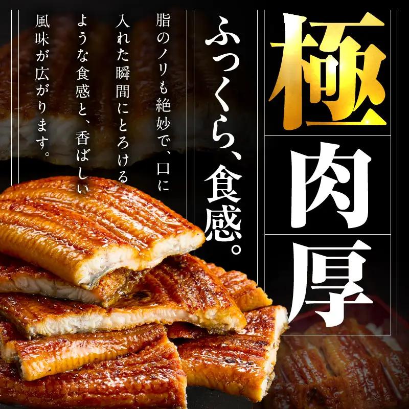 暴れ盛りセット 牛たん & うなぎ 総量 1.2kg