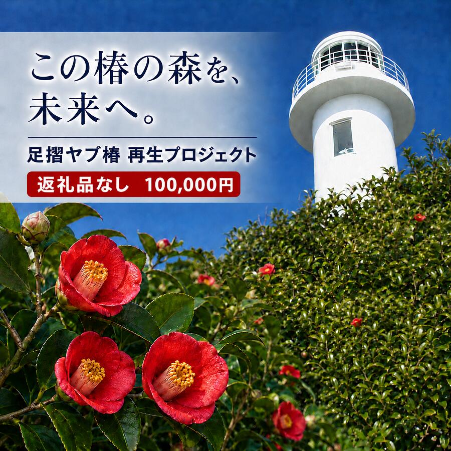 【ふるさと納税】足摺ヤブ椿再生プロジェクト 応援一口 100,000円（30,000円分） ※返礼品なし※ 自然保護 椿 つばき ツバキ 藪椿 ヤブツバキ クラウドファンディング 募金 植物 自然 環境保護 SDGs 10万円 高知県 高知 土佐清水 ふるさとのうぜい 返礼品【R01754】