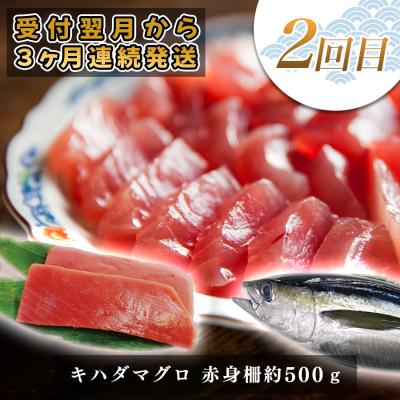 ふるさと納税 大月町 【定期便 3回】 土佐のごちそう 海のめぐみ 海鮮 秋冬便 藁焼き 鰹たたき 一夜干し 干物 漬け丼 |  | 02