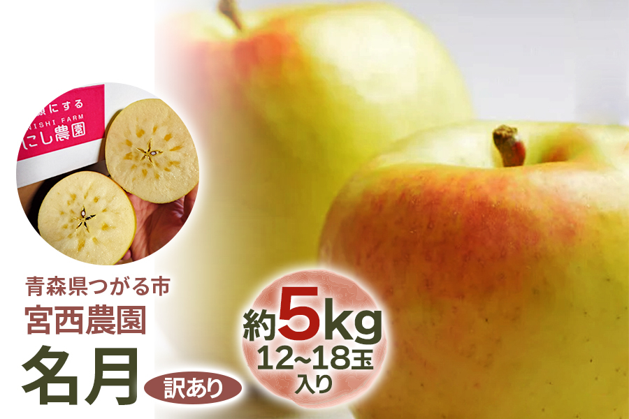 
                  [訳あり] 名月【約5kg 12から18玉入り】糖度15度以上のりんご｜令和8年 2026年 訳アリ 訳あり 家庭用 青森産 津軽 つがる りんご リンゴ 果物 フルーツ 名月 めいげつ 青森りんご マタニティフード認定 [1050]
                
