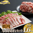 【ふるさと納税】豚肉 石見ポーク焼肉・小間切れセット合計1.6kg（ロース焼肉300g・バラ焼肉300g・小間切れ500g×2）