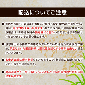 新潟産 特別栽培米 コシヒカリ 玄米 5kg 令和7年産 コシヒカリ toushin028_02