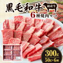 【ふるさと納税】黒毛和牛 経産牛 6種 焼肉 セット 300g 詰め合わせ 食べ比べ 味比べ 牛肉 肉 お肉 精肉 和牛 国産牛 国産 宮崎県産 焼肉セット BBQ アウトドア キャンプ グルメ お取り寄せ お取り寄せグルメ ご褒美 贈り物 贈答 自分用 宮崎県 宮崎市 送料無料