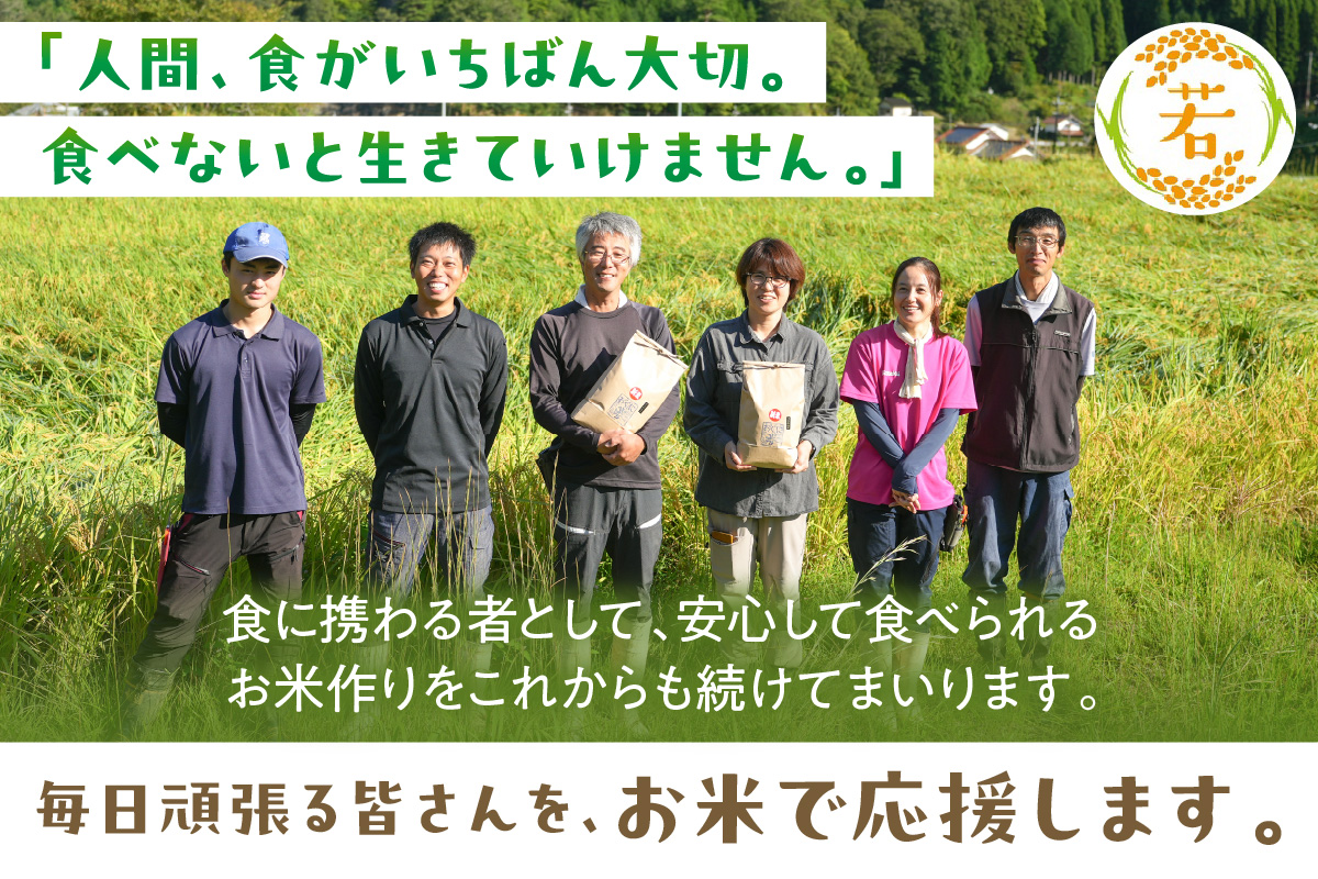 【令和7年産】浜田市金城町産【おぐに米】5kg【定期便】（6回コース） 【071_2074】