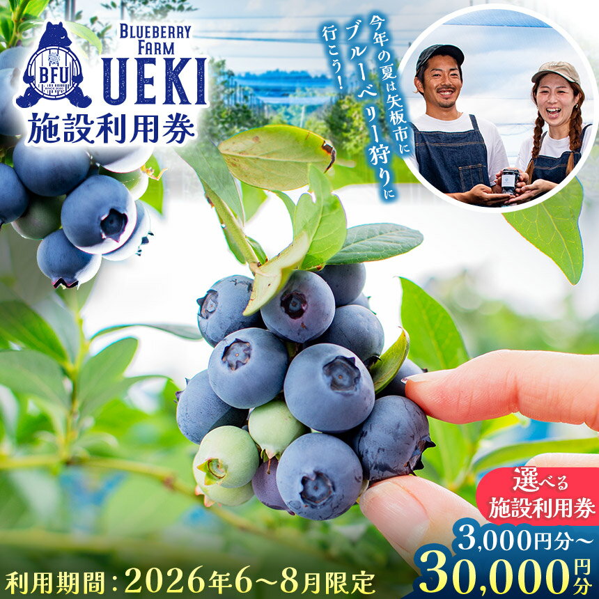 【ふるさと納税】ブルーベリー ファーム 体験 チケット 施設利用券【6月～8月限定】 | ブルーベリー 狩り 食べ比べ カフェ スイーツ おいしい お出かけ ファミリー 子供 向け デート 向け 旅行 果物狩り フルーツ狩り 果物 フルーツ 人気 高評価 栃木県 矢板市