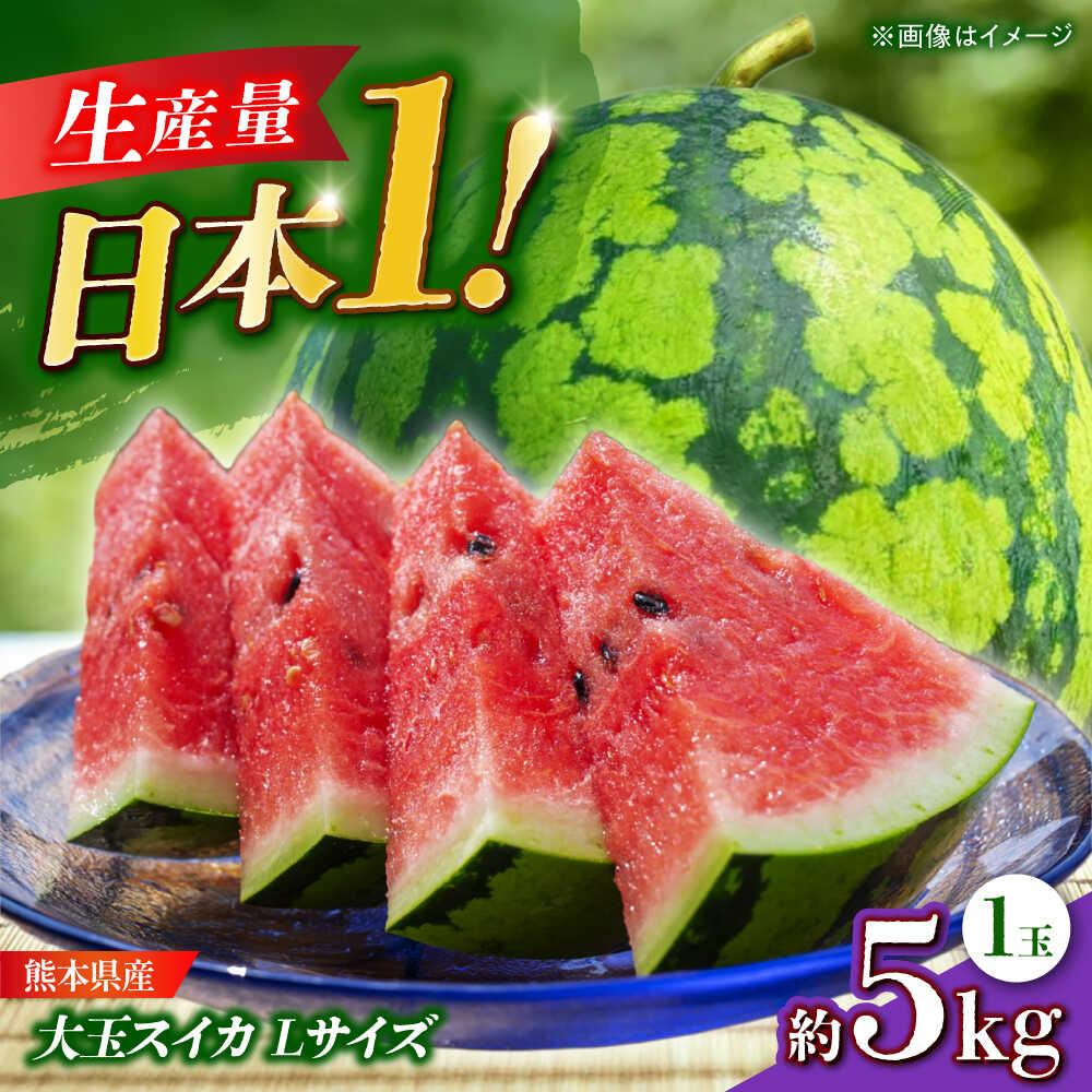 【ふるさと納税】【先行予約】 大玉スイカ Lサイズ 1玉入り 約5kg すいか 大玉 熊本 フルーツ 野菜 果物 【日本フルーツ株式会社】[ZFJ045]