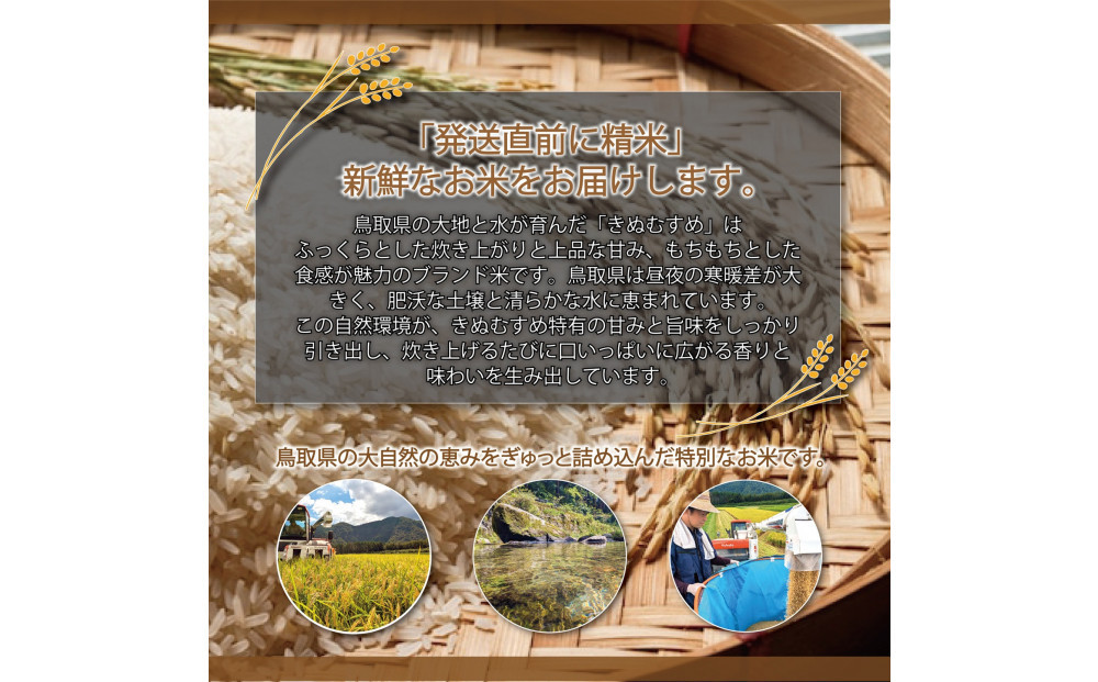 令和7年 鳥取県産　大上農園きぬむすめ 5kg