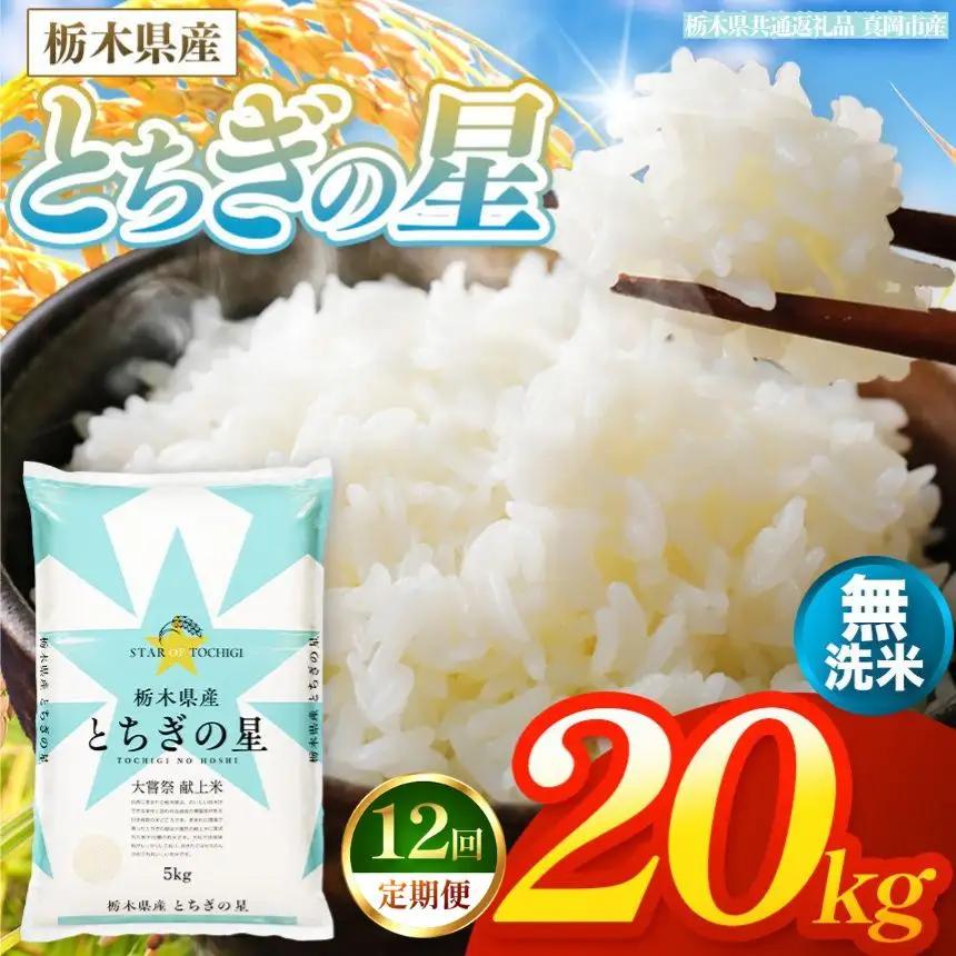 【令和8年産 新米】 【定期便12回】栃木県産 お米 とちぎの星　（無洗米） 20kg 【2026年秋以降発送】 |  栃木県 矢板市 【栃木県共通返礼品 真岡市産】