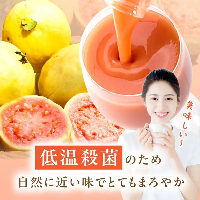 驚きの果実感！ グァバドリンク２本セット (720ml×2本)_K021-012