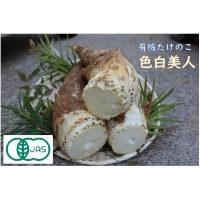 ふるさと納税 小松市 【今春先行予約】有機JAS認証  白子たけのこ 「色白美人」 3.5kg