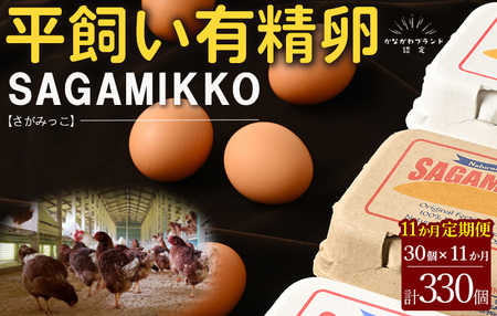 11ヶ月定期便 お楽しみ 毎月届く《かながわブランド認定》平飼い有精卵さがみっこ 30個(10個×3パック)×11か月 | 神奈川県相模原市産 たまご 卵 鶏卵 玉子 たまご 生卵 平飼い ケージフリー 有精卵 国産 濃厚 旨味 卵焼き たまごかけご飯 朝食 ご褒美 ※離島への配送不可