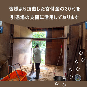 【 支援 】 支援引退馬7千円